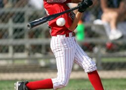 baseball, batter, baseball bat-1467526.jpg