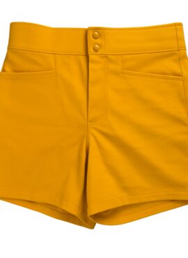 FlashStride Active Shorts