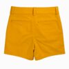 FlashStride Active Shorts